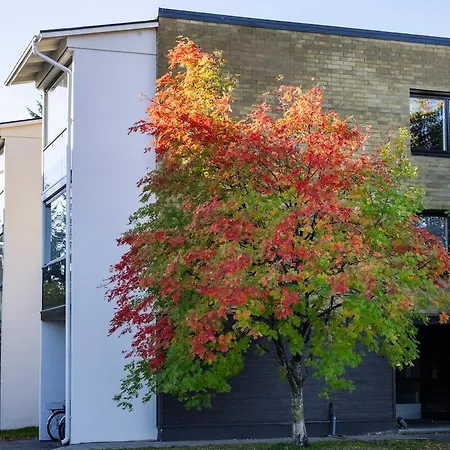 Pluminous Studio- Free Parking- No Staircase