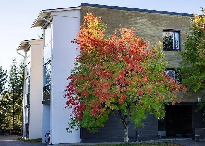 Pluminous Studio- Free Parking- No Staircase